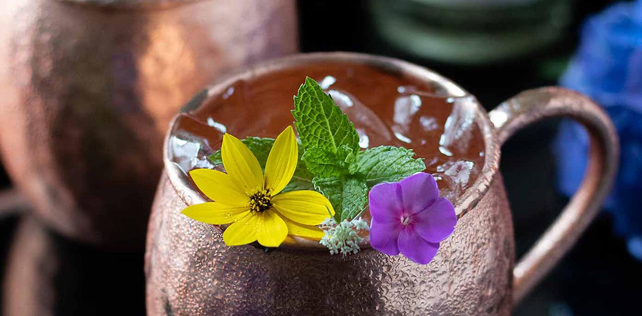 Jalisco Mule Cocktail